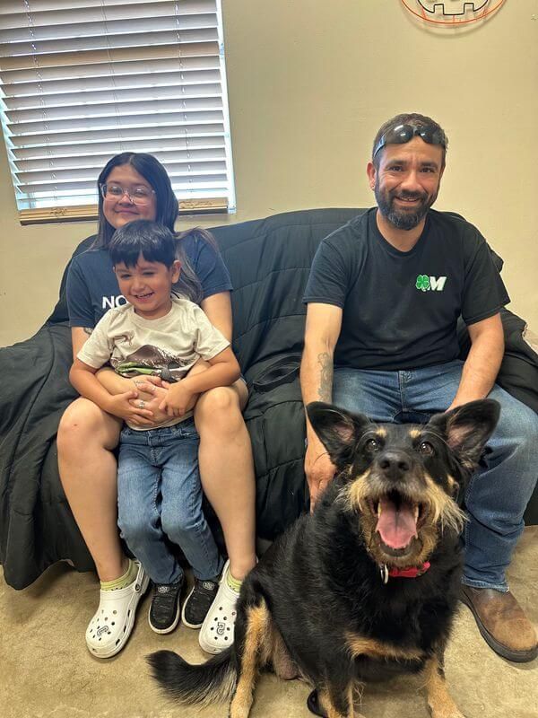 AdoptAPet Victoria, Texas